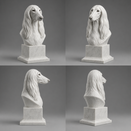 Afghan Hound test