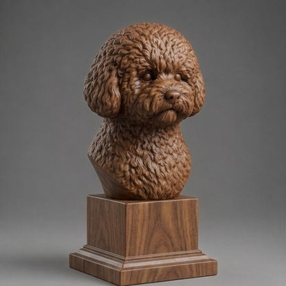 Busto Bichon Frise — fundo madeira escura