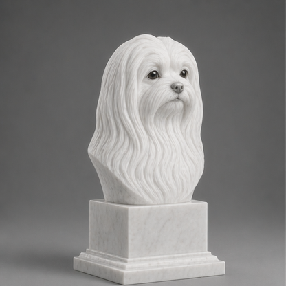 Busto Decorativo Maltês Personalizado | Escultura Artesanal em 7 Materiais (da sua escolha)