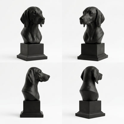 Busto Weimaraner — fundo preto