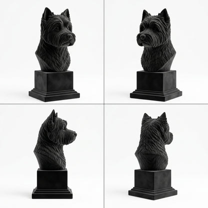 Busto Westie — fundo preto