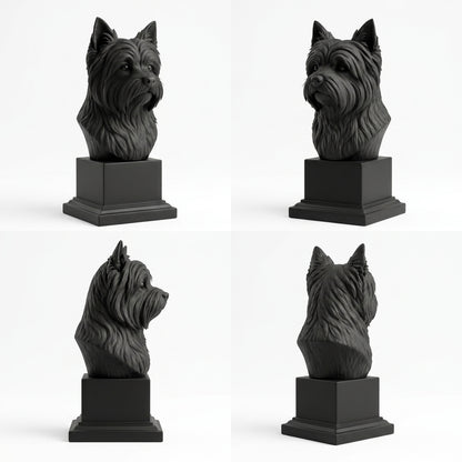 Busto Westie — fundo preto